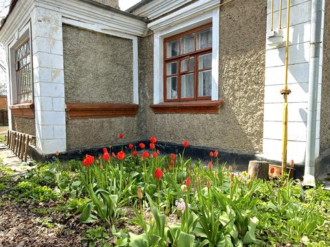 будинок за адресою Соборна вул. (Леніна), 75