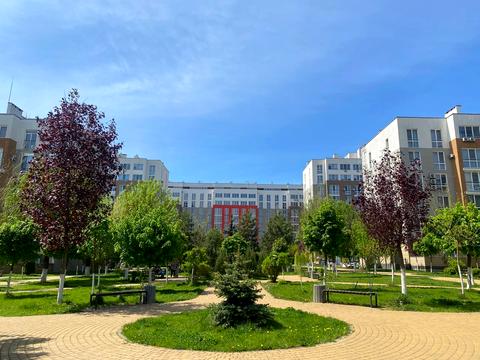 квартира по адресу Декабристов просп. (Декабристів), 151 к1