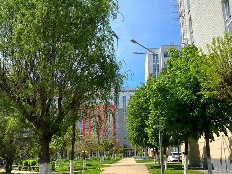 квартира по адресу Декабристов просп. (Декабристів), 151 к1