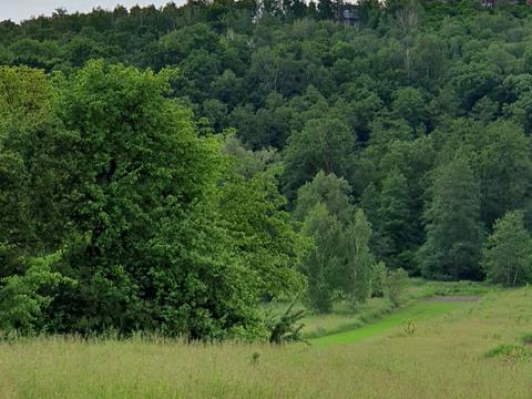 ділянка за адресою Комарова, 39