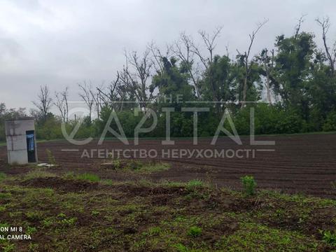 участок по адресу с. Ясногородка, 