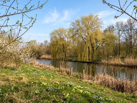 будинок за адресою смт. Козин, Весняна, 37