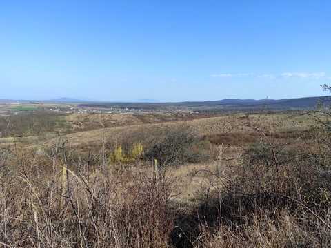 ділянка за адресою Берегове, Затишнянська гора