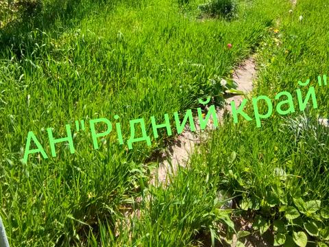 будинок за адресою Затишна