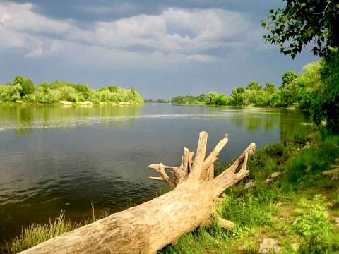 дом по адресу Міжріччя