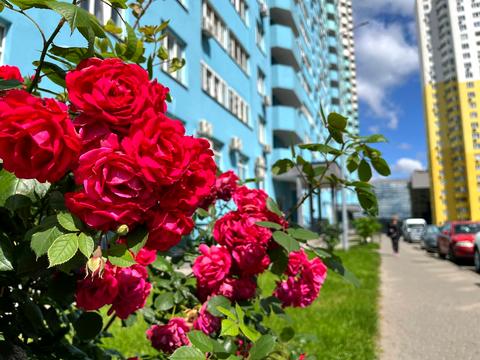 квартира за адресою Приміська вул., 26