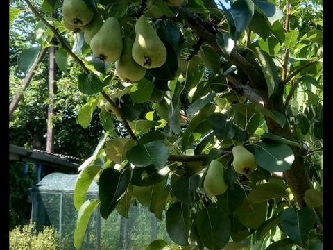 будинок за адресою кооператив автомобіліст