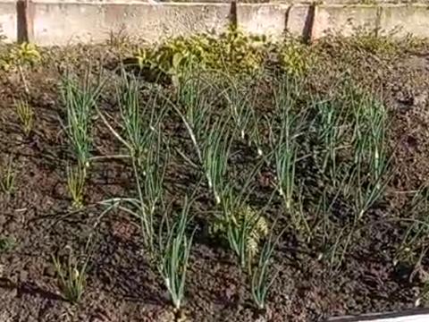 будинок за адресою кооператив автомобіліст
