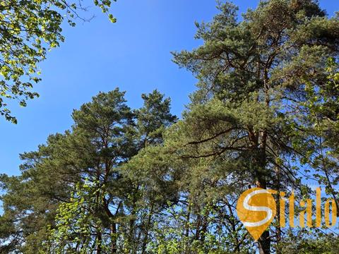 ділянка за адресою Підлісна