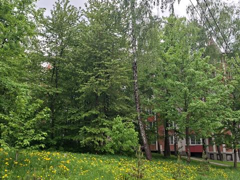квартира за адресою Чернівецька вул., 65
