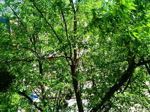 квартира за адресою Голосіївський просп. (40-річчя Жовтня), 21