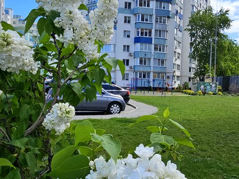 квартира за адресою Сержанта Жужоми вул., 3
