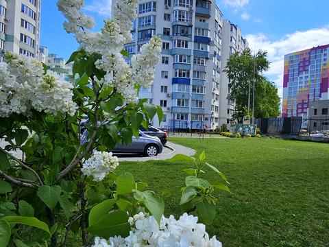 квартира за адресою Сержанта Жужоми вул., 3