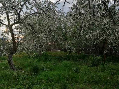 будинок за адресою Рокітна, 13