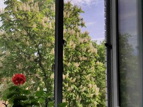 квартира за адресою Юліана Матвійчука вул. (), 139