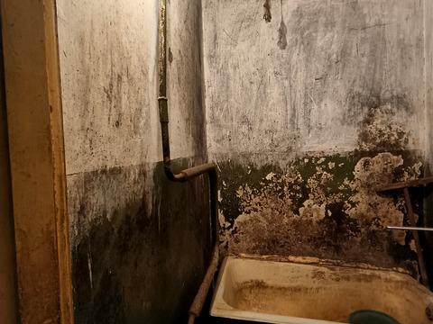 квартира по адресу Прибузька ул., 26