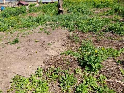 будинок за адресою Пілотська вул., 48
