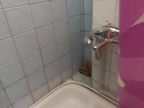 квартира за адресою Миколаївська дорога вул., 297