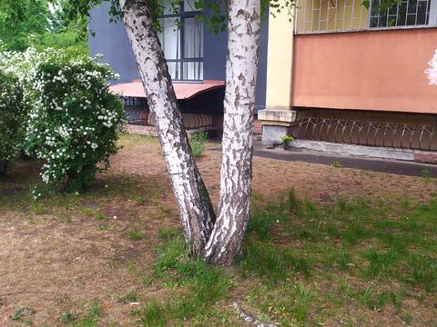комерційна за адресою Урлівська вул., 8-А