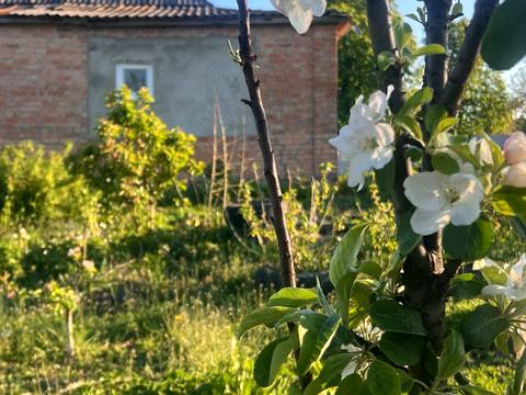 будинок за адресою Лесі Українки, 4