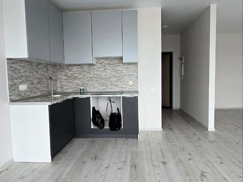квартира по адресу Спрейса ул., 14
