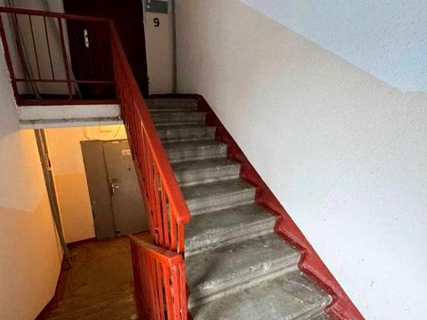 квартира по адресу Юбилейный просп. (50-летия ВЛКСМ), 52