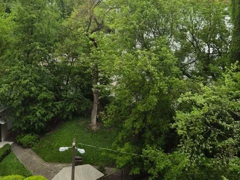 квартира за адресою Олеся Гончара вул., 52