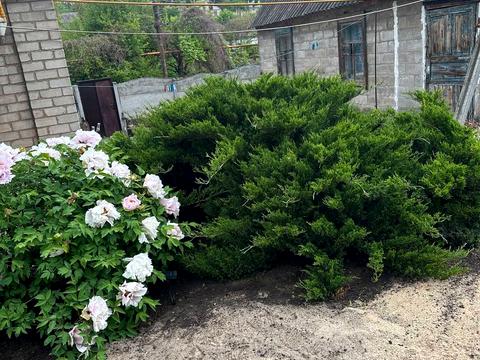 дом по адресу Днепр, Бассейная ул.