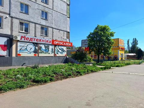 комерційна за адресою Василя Сергієнка вул. (Задніпровська), 66