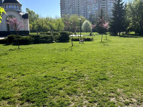 квартира за адресою Юлії Здановської вул. (Ломоносова), 85-Б