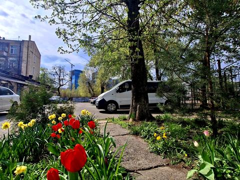 квартира за адресою Антоновича, 57