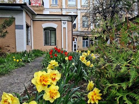 квартира за адресою Антоновича, 57
