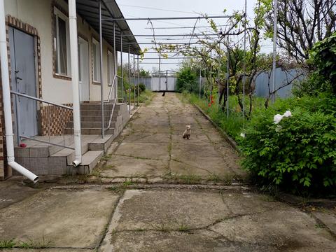 дом по адресу Провулок Івана Липи, 39