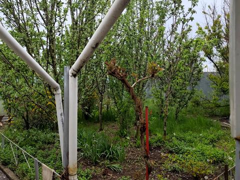 дом по адресу Провулок Івана Липи, 39