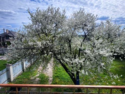 дом по адресу Польова, 17