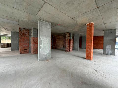 комерційна за адресою Малоголосківська вул., 21