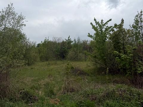 участок по адресу с. Малехов, Івана Крип'якевича, 3