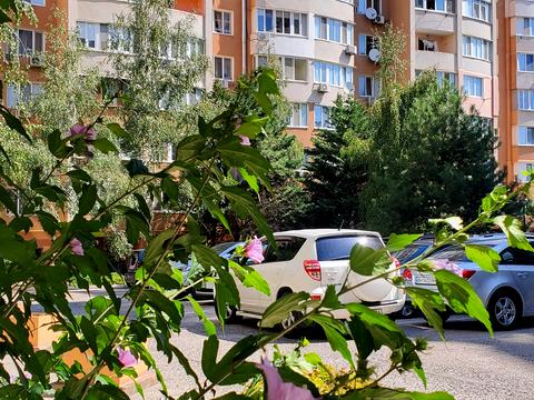 квартира за адресою Євгена Чикаленка вул., 59е