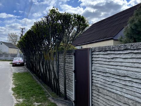 дом по адресу провулок Шевченка, 5