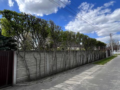 дом по адресу провулок Шевченка, 5