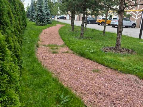 квартира за адресою Соборна вул., (Будинок)