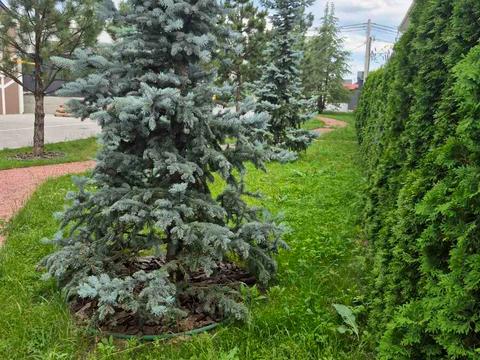 квартира за адресою Соборна вул., (Будинок)