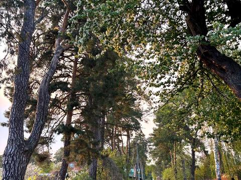 будинок за адресою Федора Уманця вул. (Мокієвської)