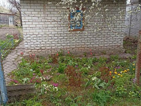 будинок за адресою Миру просп., 290