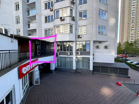 комерційна за адресою Єлизавети Чавдар вул., 13