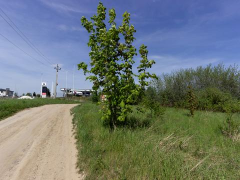 ділянка за адресою 