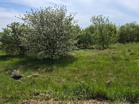 ділянка за адресою с. Хотів, Промислова вул.