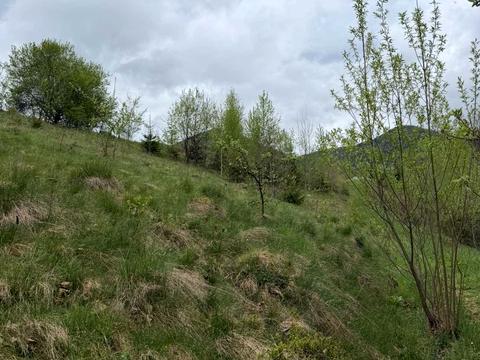 участок по адресу Татаров, Олексы Довбуша ул. (Незалежності)