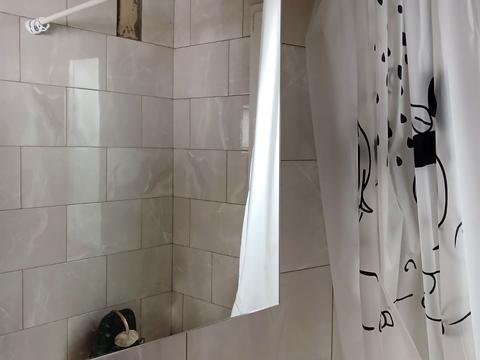 дом по адресу с. Липовое, Центральна