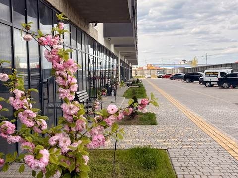 квартира за адресою Владислава Бувалкіна вул. (Бочарова Генерала), (Будинок 1)